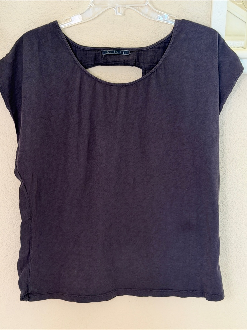 Velvet Short Sleeve Scoop Neck Top